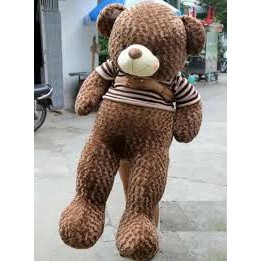 Gấu bông Tedy m8 vải may