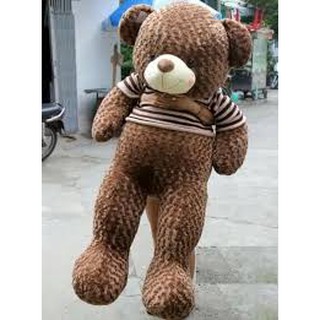 Gấu bông Tedy m8 vải may