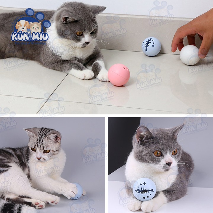 Set 3 quả bóng đồ chơi cho chó mèo Kún Miu (Bóng phát sáng, Bóng chuông, Bóng catnip)
