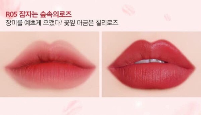 💋💋 Son Thỏi Siêu Mịn, Siêu Lì Black Rouge Rose Velvet Lipstick