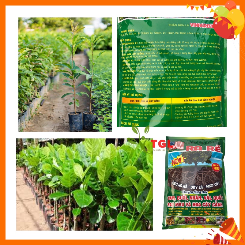 Phân Bón Vi Lượng VINAGREEN 01 - Gói 1kg - Phân vi lượng Siêu Ra Rễ, Dày Lá, Mập Cây