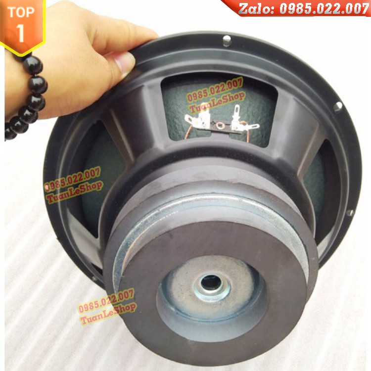 LOA BASS 25.5CM, LOA BASS 25 GÂN MÚT CÔN 36 - LOA BASS 25 TỪ KÉP 126-100 - GIÁ 1 CỦ