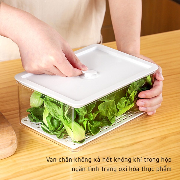 Hộp Bảo Quản Thực Phẩm Tủ Lạnh Hút Chân Không Trong Suốt Chất Liệu Nhựa ABS An Toàn Cho Sức Khỏe