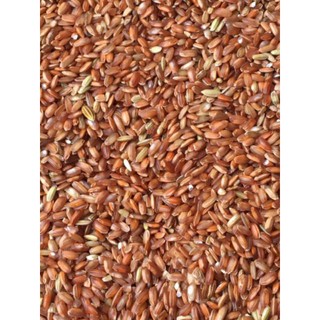 GẠO LỨT ĐỎ ĐIỆN BIÊN (Túi 1kg)