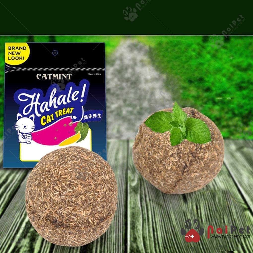 Cỏ Catnip Cỏ Bạc Hà Viên Nén Cho Mèo CCN006