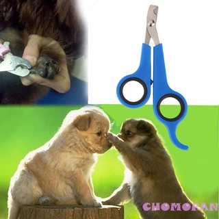 Dụng cụ cắt móng cho thú cưng