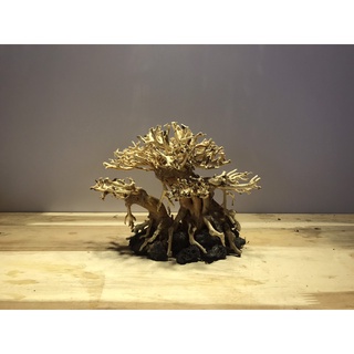 LŨA BONSAI CHO HỒ THỦY SINH  no.08