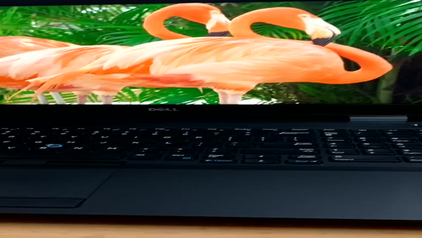 Dell Latitude e5570 i5/8G/256Gb dòng VIP mỏng đẹp, bền, có phím số | BigBuy360 - bigbuy360.vn