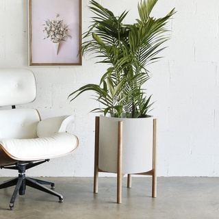 CHẬU CÂY XI MĂNG ĐÁ MÀI TRÒN 3 KÍCH CỠ