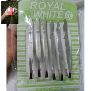 Sỉ 6 cây nhíp nhổ lông mày