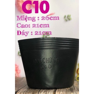 Chậu nhựa trồng cây