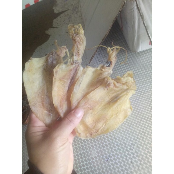 [500g]Khô mực câu mini [CHUẨN MỰC CÂU NGHỆ AN 100%] size 3-4 ngón tay tầm 80-90 con/kg, ngon, ngọt, dai dai khi nướng | BigBuy360 - bigbuy360.vn