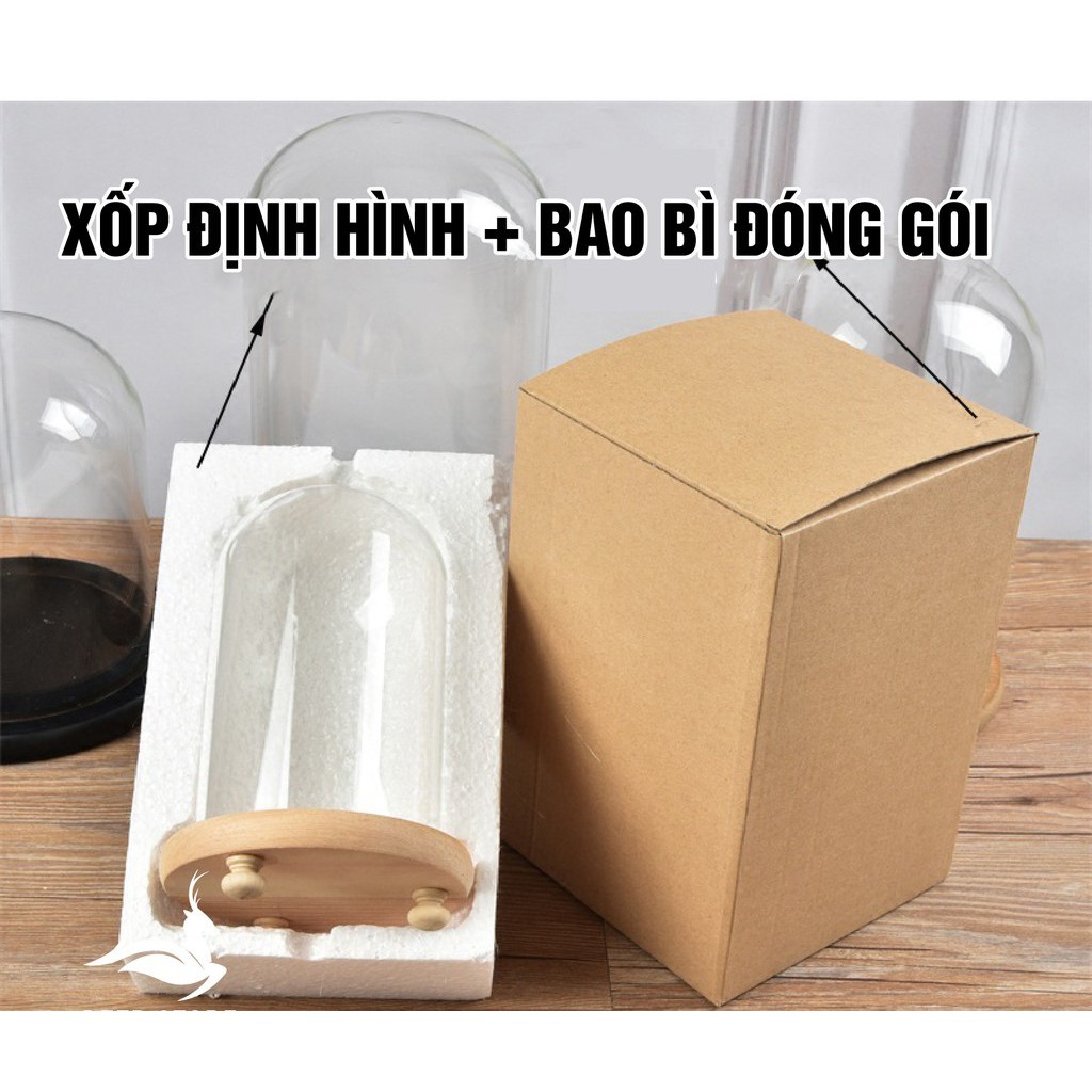 Chụp thủy tinh đế gỗ các màu nhiều kích thước (có đèn vàng)