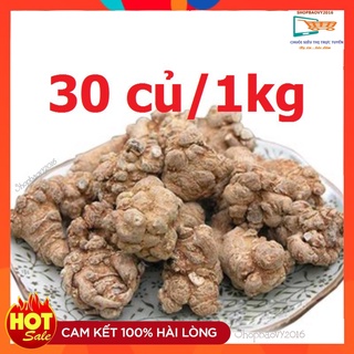 500gram củ tam thất bắc khô 30 củ/kg- tây bắc