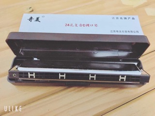 kèm harmonica QI MEI 24 tremolo (dòng cao cấp)