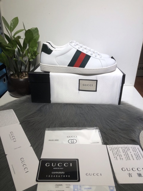 Giày guccciii-bản trơn-cao cấp mới nhất new 100%