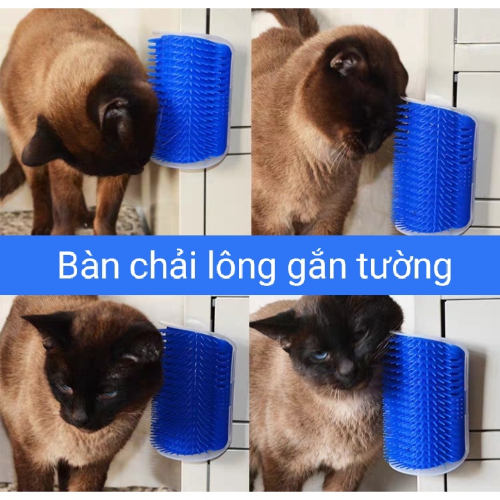 [Thương hiệu Catit] Bàn chải lông cho mèo gắn tường - massage và lấy đi rông rụng cho mèo (tặng kèm gói cỏ capnit)