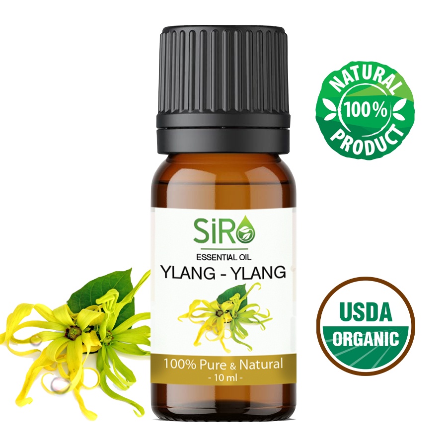 TINH DẦU NGỌC LAN TÂY YLANG YLANG