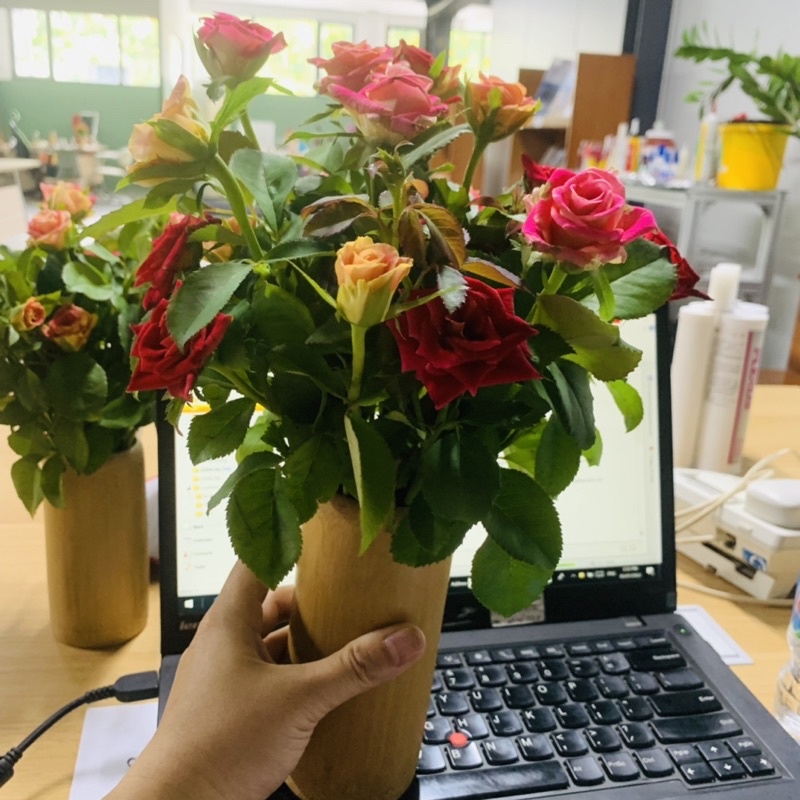 Ly , cốc uống nước, đựng nước - Ly 100% từ ống tre Việt Nam-  Giá tận xưởng