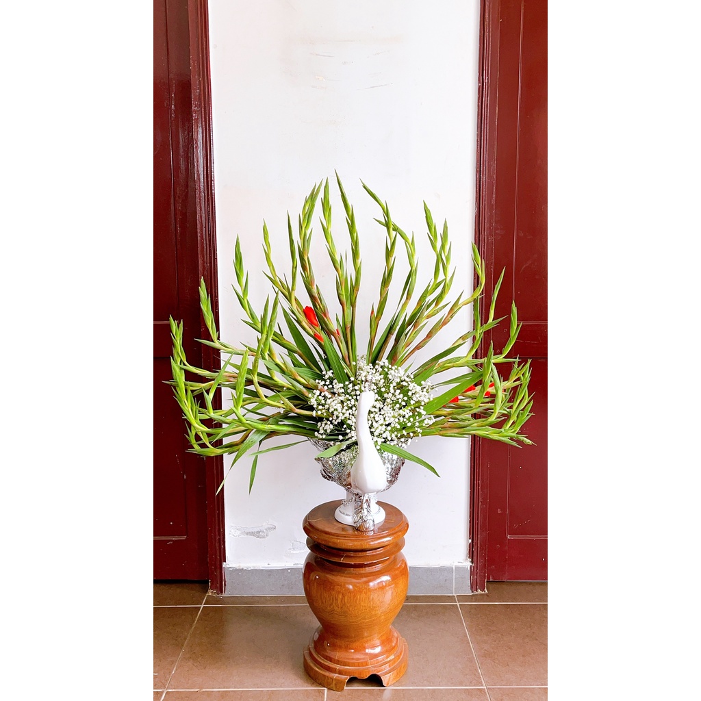 Con Công Cắm Hoa Giá Rẻ Tháng 9,2023|Biggo Việt Nam