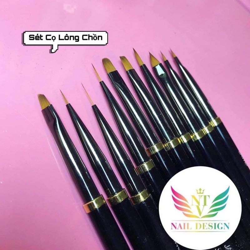 Cọ Vẽ Nail, Bộ Cọ Vẽ Lông Chồn Siêu Mềm [Thanh Vy Nail]