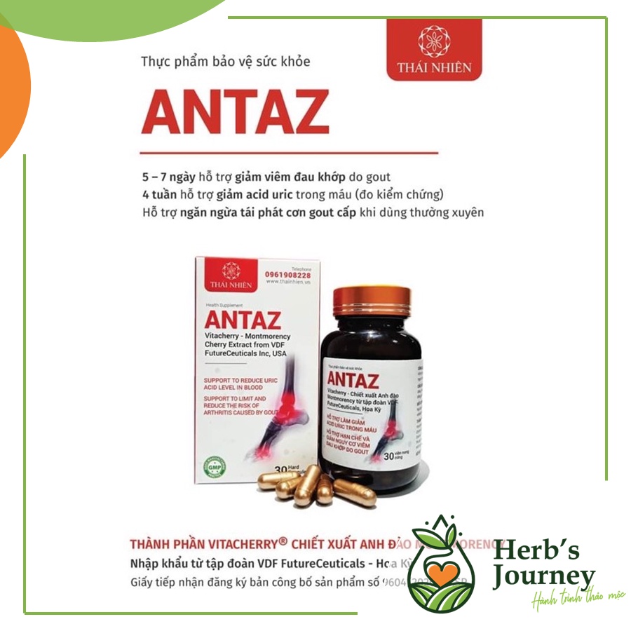 ANTAZ - Hỗ trợ người bị GOUT giảm acid uric từ thảo mộc - Thực phẩm bảo vệ sức khỏe từ thảo dược tự nhiên cho người gút
