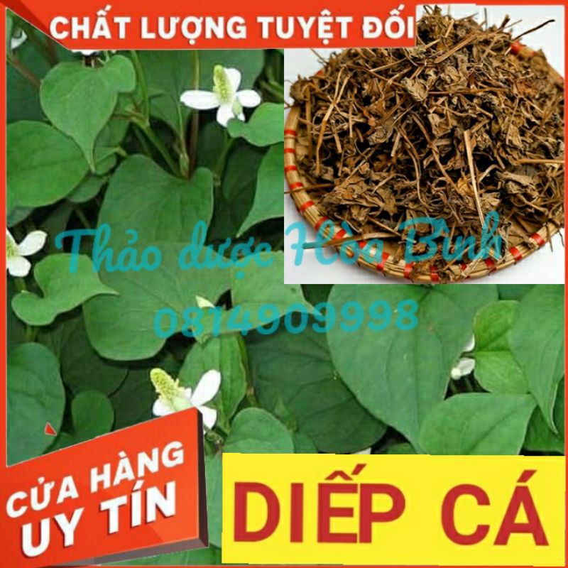 Rau Diếp Cá khô, Ngư Tinh Thảo 1kg khô sạch