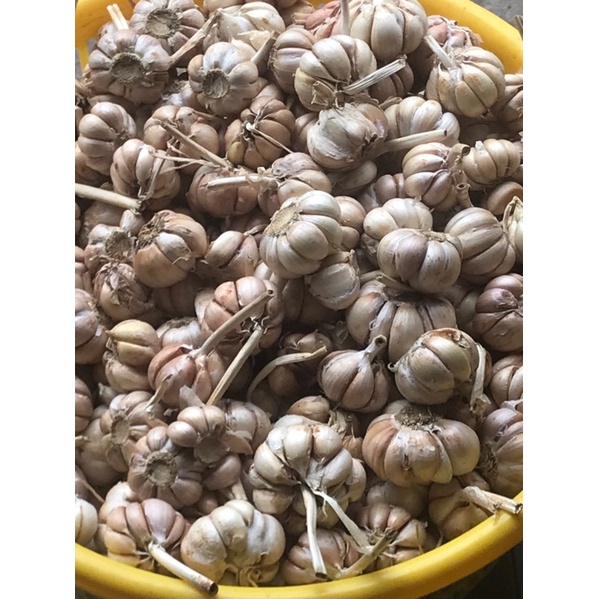 Tỏi 1kg hoả tốc quận Bình Tân