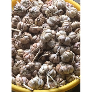 Tỏi 1kg hoả tốc quận Bình Tân