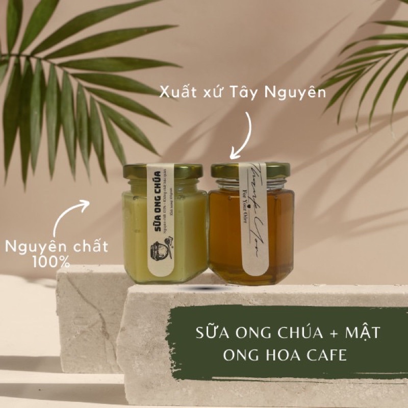 Sữa ong chúa (100gr) + Mật ong (100gr)