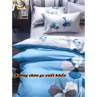 Set chăn ga cotton ogranic cao cấp hoa xanh da trời