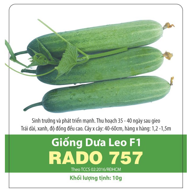 Hạt Giống Dưa Leo F1 Rado 752 (2gr)