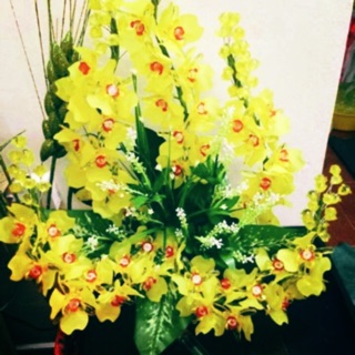 Combo nguyên liệu như hình