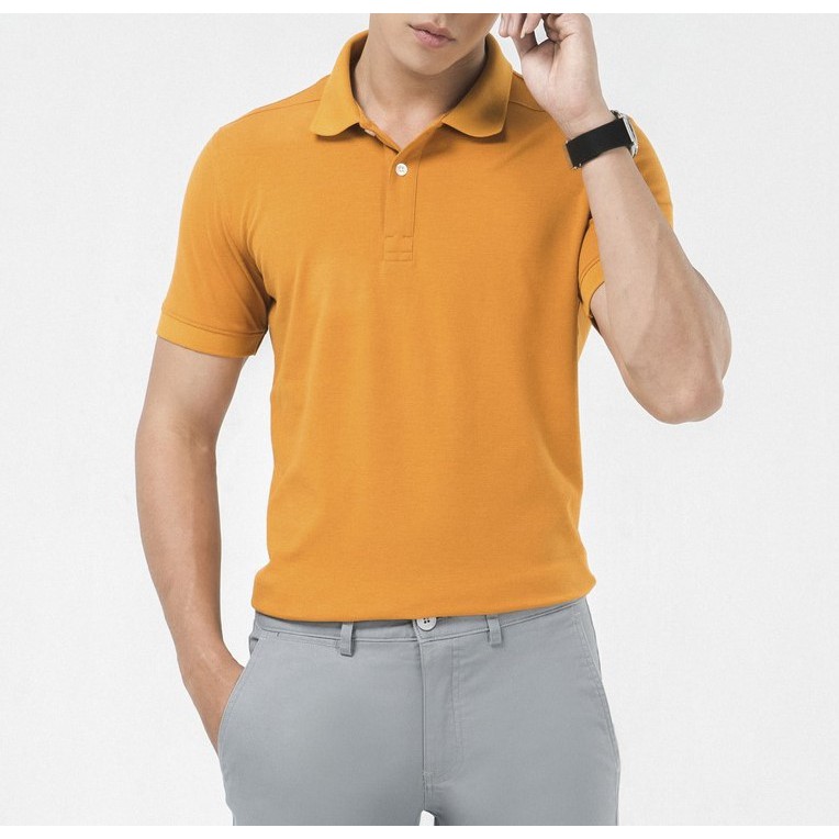 Áo thun polo trơn basic chất lượng cao, bao đổi size | BigBuy360 - bigbuy360.vn