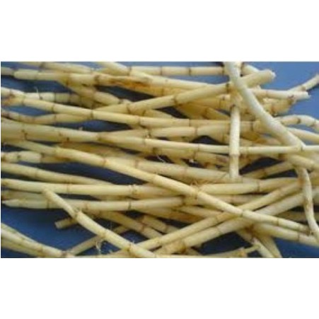 1kg rễ cỏ tranh khô  hàng loại 1