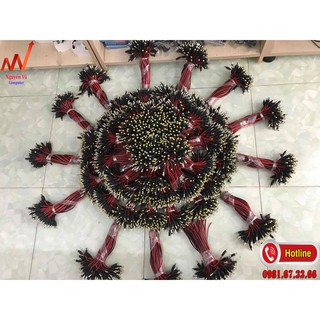 Bó Dây đầu nguồn DC Camera 100 Sợi