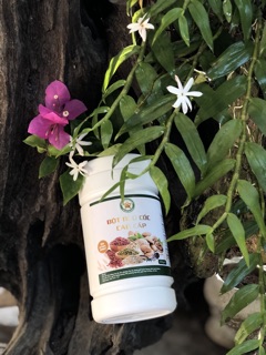Bột ngũ cốc cao cấp