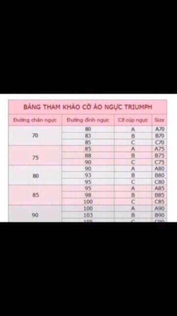 Áo lót Triumph Sloggi Whp