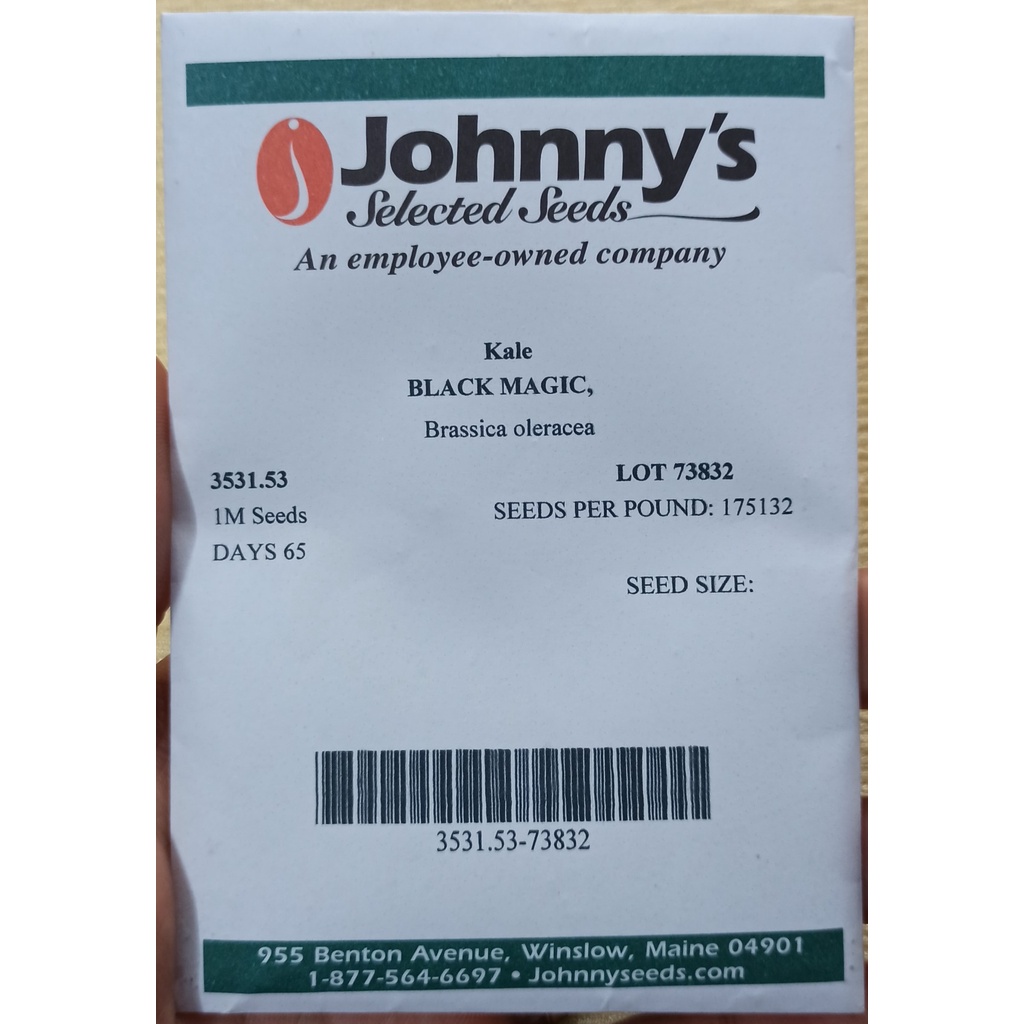 Hạt giống Kale Black Magic, Kale khủng long chịu nhiệt nhập Mỹ - Johnny's Seeds