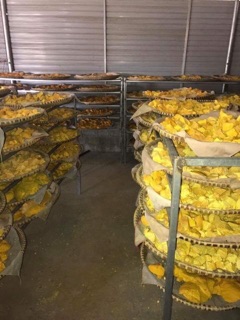 500 gram Tinh Bột Nghệ nguyên chất 💯%