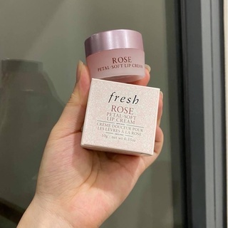 Dưỡng môi Fresh Rose Petal-Soft Lip Cream 10gr