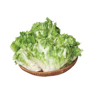 Hạt giống xà lách ESCAROLE - 10gram/gói