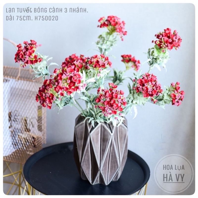 Hoa lụa | LAN TUYẾT BÓNG. DÀI 75CM. HLA000020.