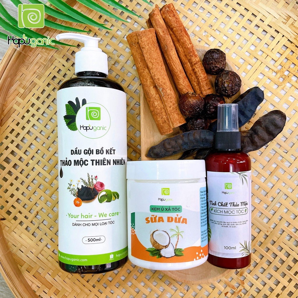 Combo Dầu Gội Bồ Kết - Ủ Xả Tóc - Tinh Chất mọc tóc HaPu Organic