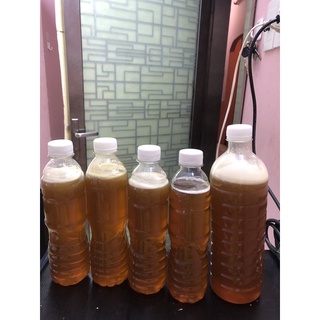 Mật Ong 500ml