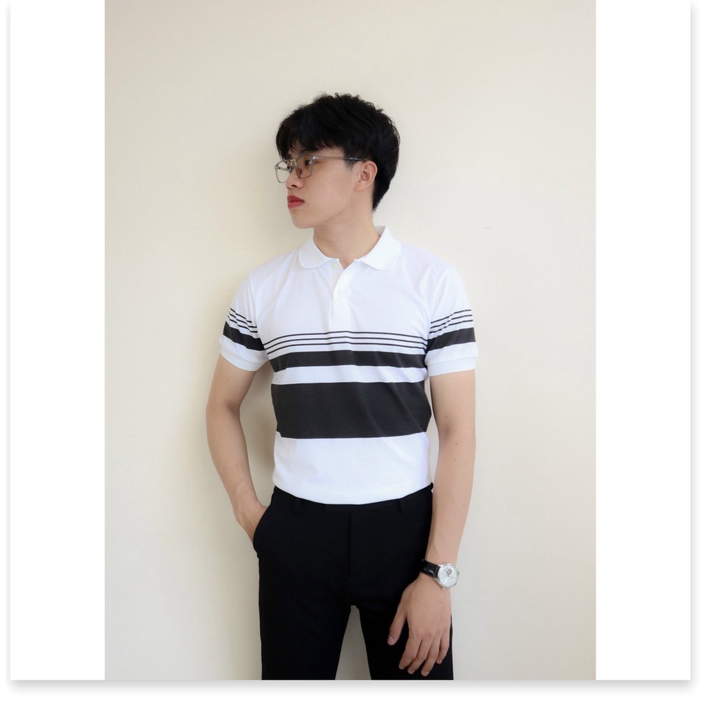 Áo thun cổ trụ ngắn tay hoạ tiết mới cho ae KOKO MI FASHION