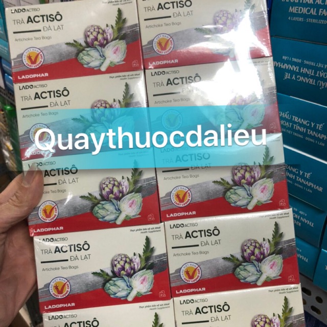 TRÀ ACTISO (nguyên lốc)