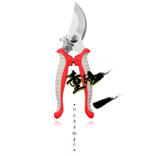 Kéo cắt tỉa cành cây