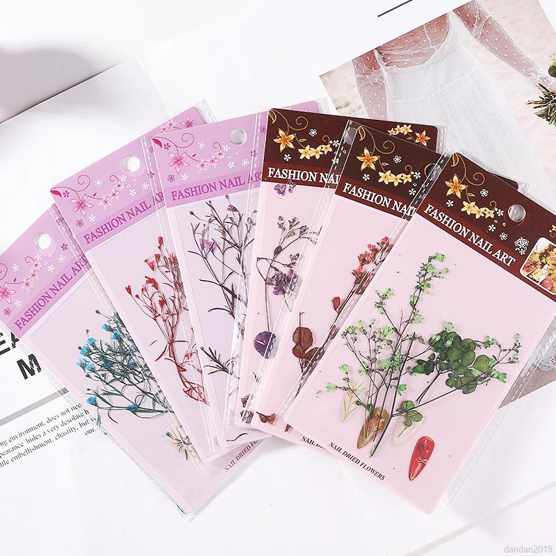 Hoa Khô 3d Đính Móng Tay Nghệ Thuật