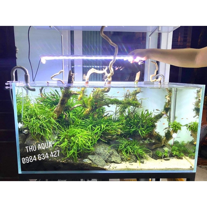 Đèn led bể cá WRGB 6 hàng LED